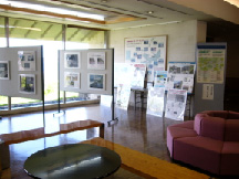 �h�Ѓp�l���W���i