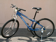 �}�E���e���o�C�N