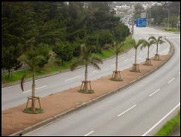 ��������