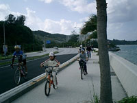 �t�@�~���[�T�C�N�����O���{���i