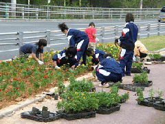 ���[�����y�c�ł̐A�t���i