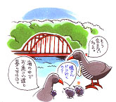 ���΂�N�C�i