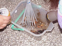 �ی삳�ꂽ�J�j����