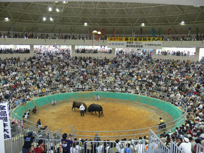 �M�C�Ɗ����ɕ�܂�铬���� 