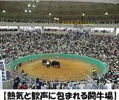 �y�M�C�Ɗ����ɕ�܂�铬���� �z