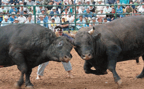 �����̗l�q