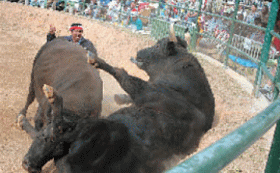 �����̗l�q