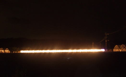 �d������Ăɓ������l�q