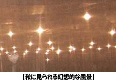 �y�H�Ɍ����錶�z�I�ȕ��i�z