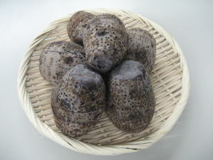 �^�[����