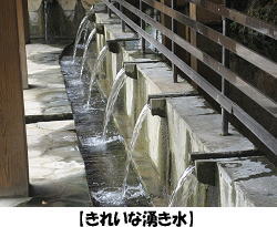 �y���ꂢ�ȗN�����z