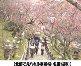 �y�k���Ō����銦����i�����Ձj�z