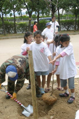 �u�Ȃ�������X���v�A���ՂɂāA���̖؂�A����q�������v