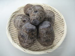 �������̃^�[�����i�c���j