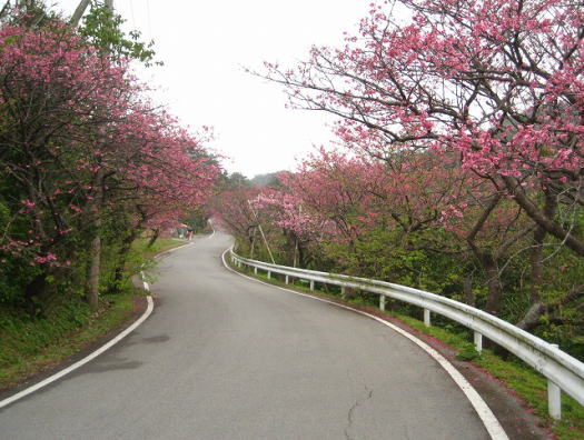 ���d�x�̍�����