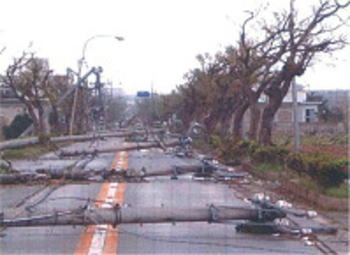 �䕗�ɂ���ĂȂ��|���ꂽ�d���i�{�Ó��j