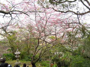 �����Ղ̊����