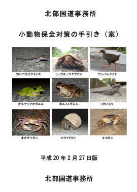 �������ۑS�΍�̎�����i�āj