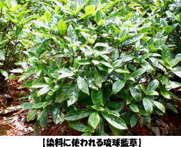 �y�����Ɏg���问�������z