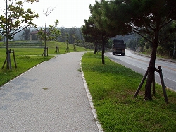 恩納村瀬良垣地内歩道の風景