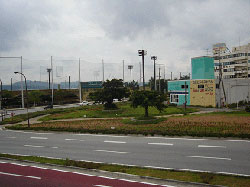 管理地域の様子