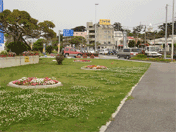 管理地域の様子