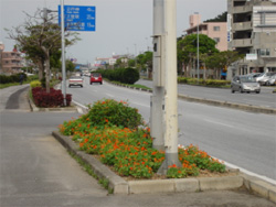 管理地域の様子