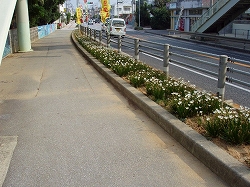 恩納村恩納歩道の風景
