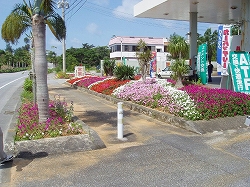宜野座村漢那歩道の風景