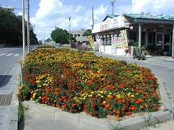 津波小学校前の歩道