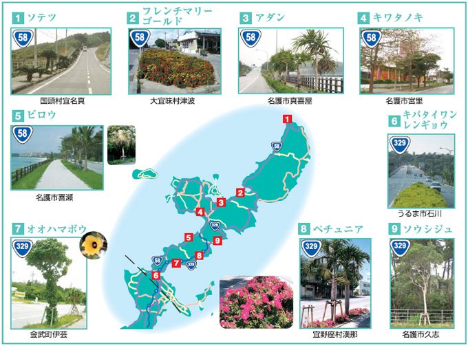 ���΂�̓��H�A��