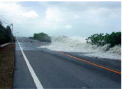 �z�g�̗l�q�i�������j