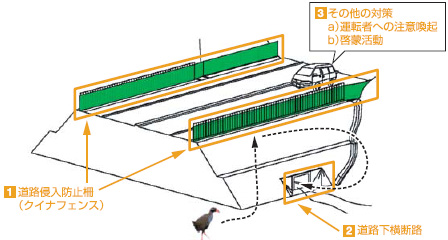 �����o���N�C�i�Ǝ����Ԃ��o���Ȃ����H�\���C���[�W