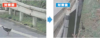 �N�C�i�t�F���X�ݒu�O��̕ω�