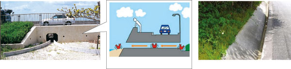 �J�j����g���l���i��X�����Ӗ���j