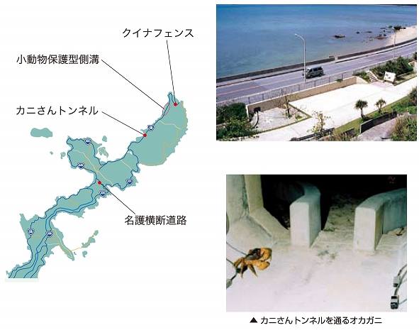 �G�R���[�h�̐���