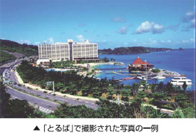 �u�Ƃ�ρv�ŎB�e���ꂽ�ʐ^�̈��