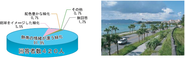 �A���P�[�g�������ʁiH18�j�Ɠ��H�i�ώʐ^