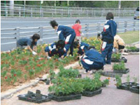 ���[������������Ƃ̗l�q