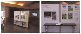 �p�l���W���̗l�q