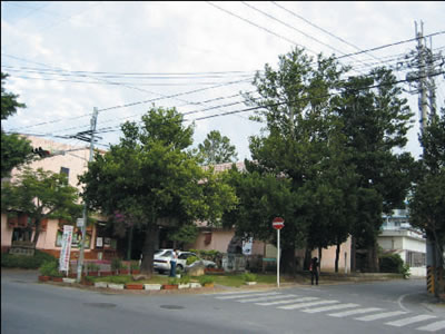 ����ԏ���