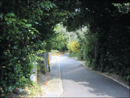 ��X�����Ӗ��邩��c�×��Ɍ������h��