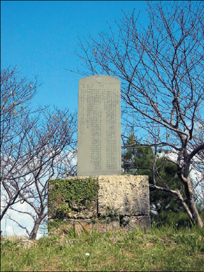 ���C�L�O�̔�