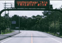 ���H����