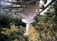 ���쉡�f���H