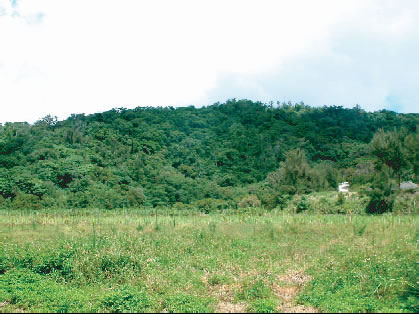 ���Ԃ̏W��