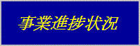 事業進捗状況