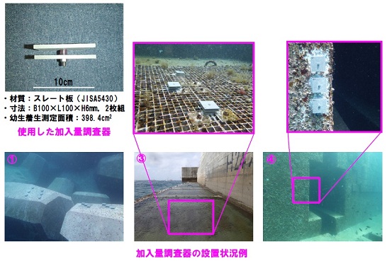 �����ʒ�����y�ѐݒu�󋵗�