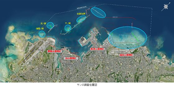 �T���S�������ʉ摜