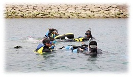 �_�C�r���O�E�V���m�[�P���G���A